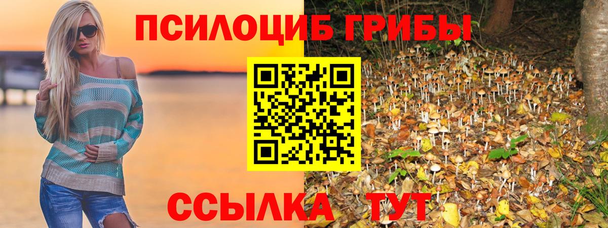 Галлюциногенные грибы мицелий Кувандык